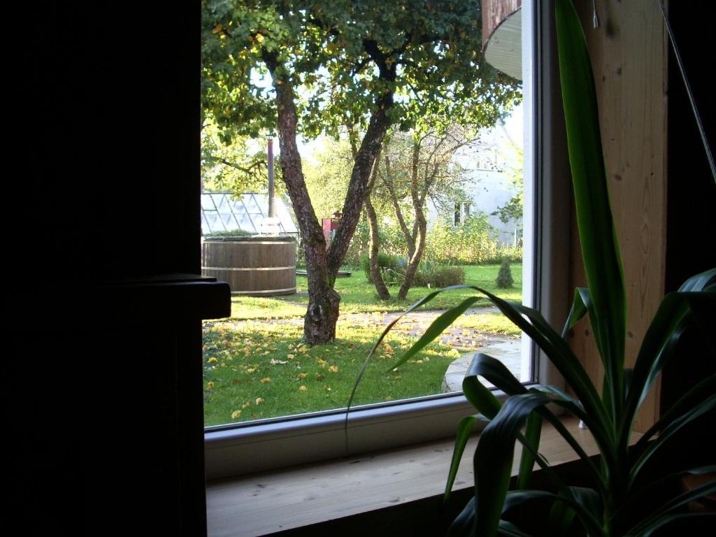 Maenni Guesthouse Haapsalu Pokój zdjęcie